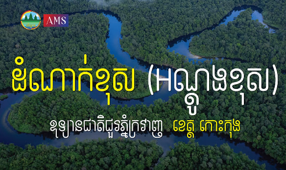 ដំណាក់ខុស (អណ្តូងខុស) ឧទ្យានជាតិជួរភ្នំក្រវាញស្រុកថ្មបាំង ខេត្តកោះកុងទេសចរណ៍ផ្សារភ្ជាប់ទឹកដី កម្ពុជាមាតុភូមិខ្ញុំ
