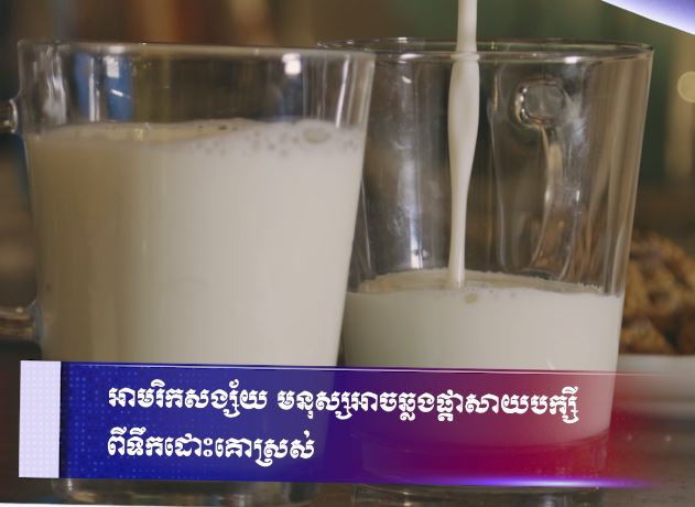 អាមរិកសង្ស័យ មនុស្សអាចឆ្លងផ្តាសាយបក្សីពីទឹកដោះគោស្រស់