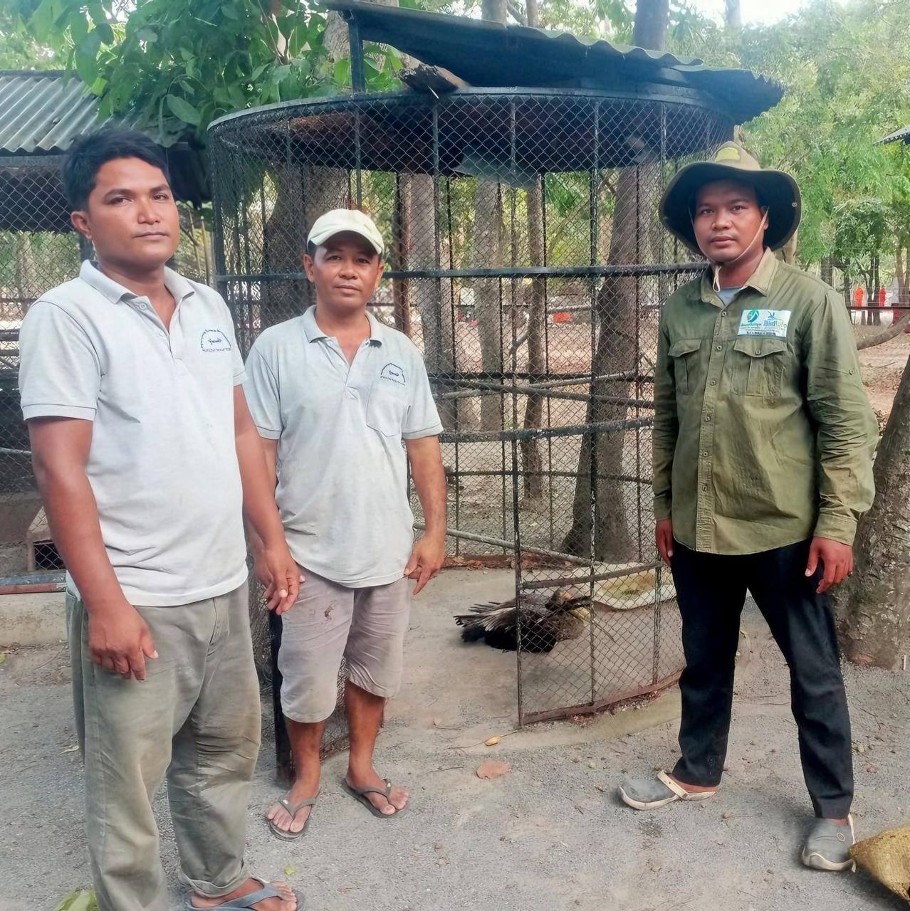 ជួយសង្រ្គោះសត្វរនាលពណ៌ មួយក្បាលនៅក្នុងតំបន់ការពារទេសភាពអន្លង់ព្រីង ខេត្តកំពត