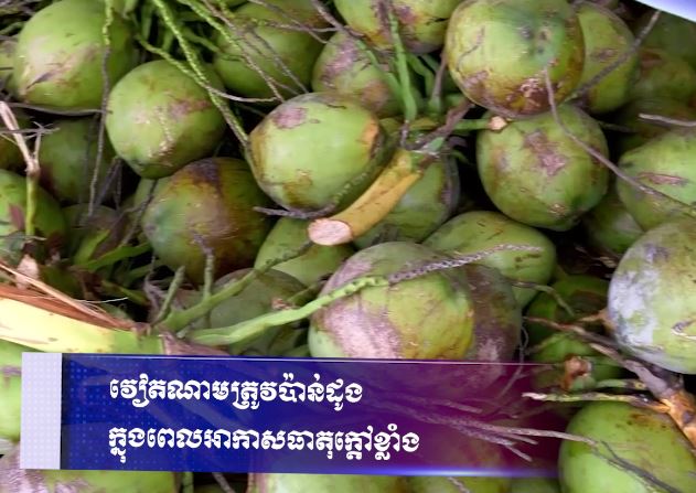 វៀតណាមត្រូវប៉ាន់ដូង ក្នុងពេលអាកាសធាតុក្តៅខ្លាំង