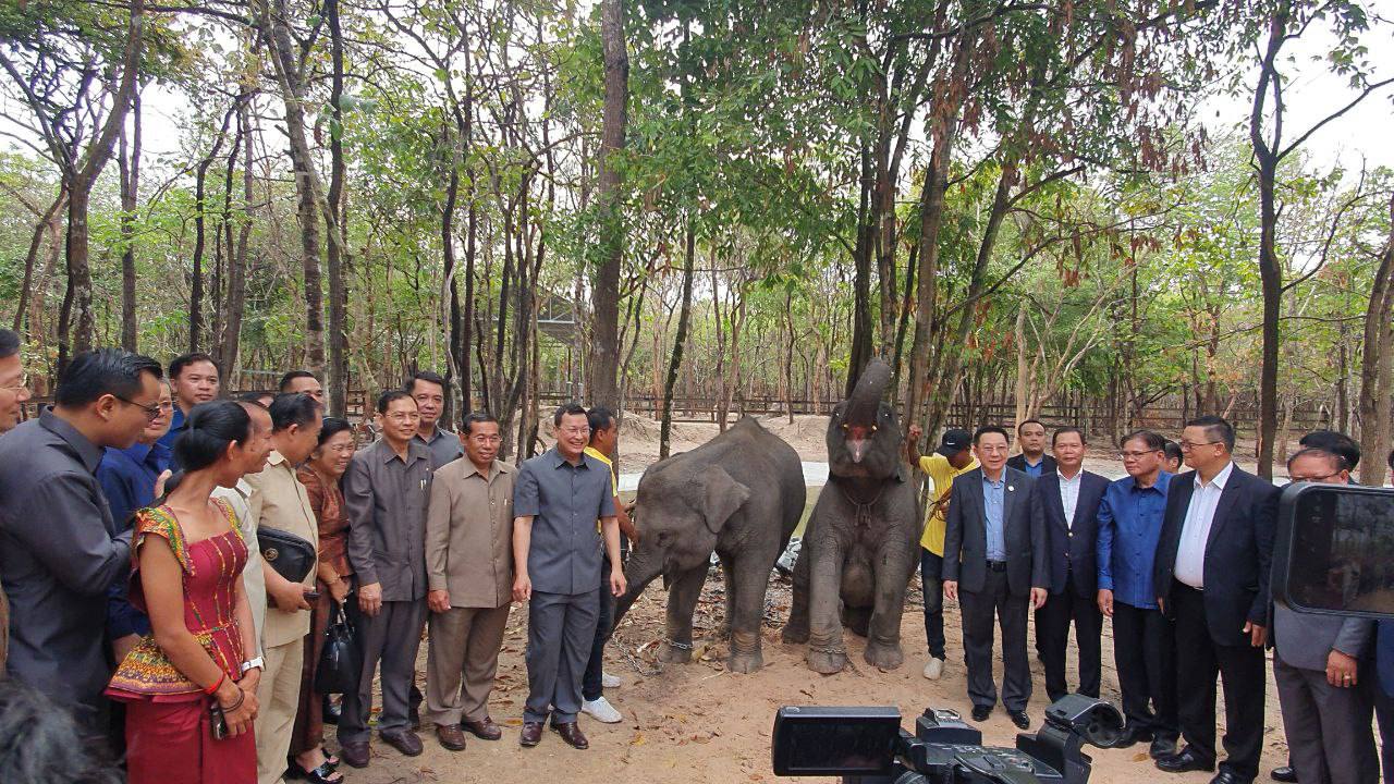 ឡាវបានប្រគល់ដំរី មួយគូដល់កម្ពុជា ដើម្បីជានិមិត្តរូបចំណងមិត្តភាពរវាងរដ្ឋាភិបាល និងប្រជាជាតិទាំង២