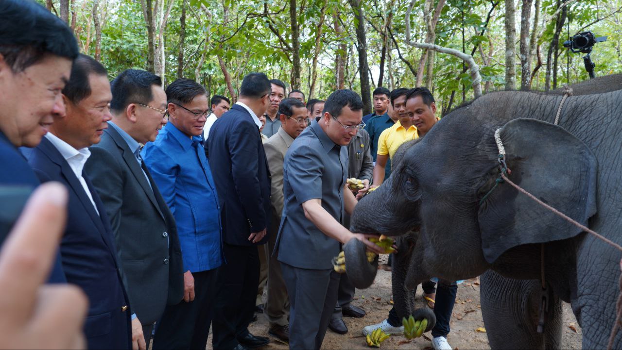 កម្ពុជា ទទួលសត្វដំរីមួយគូ ដែលជាអំណោយរបស់រដ្ឋាភិបាល ឡាវ ថ្វាយព្រះមហាក្សត្រ កម្ពុជា