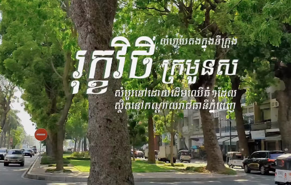 រុក្ខវិថីក្រមួនស ខណ្ឌដូនពេញ រាជធានីភ្នំពេញការរៀបចំក្រុង នគរូបនីយកម្ម កម្ពុជាមាតុភូមិខ្ញុំ