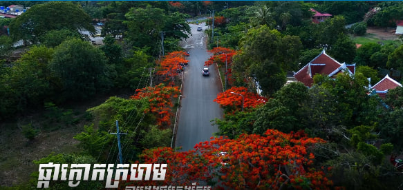 ផ្កាក្ងោកក្រហម ក្រុងកែបខេត្តកែប កម្ពុជាមាតុភូមិខ្ញុំ