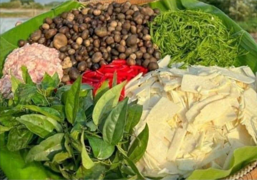 ភ្លៀងធ្លាក់ដើមឆ្នាំ៖ រដូវផ្សិតប៉ក់ ឬផ្សិតផូងផាំង ផ្តល់ចំណូលដល់ អ្នកភូមិនៅស្រុកទឹកផុស