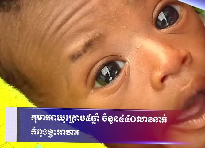 កុមារអាយុក្រោម ៥ឆ្នាំ ចំនួន ៤៤០លាននាក់ កំពុងខ្វះអាហារ