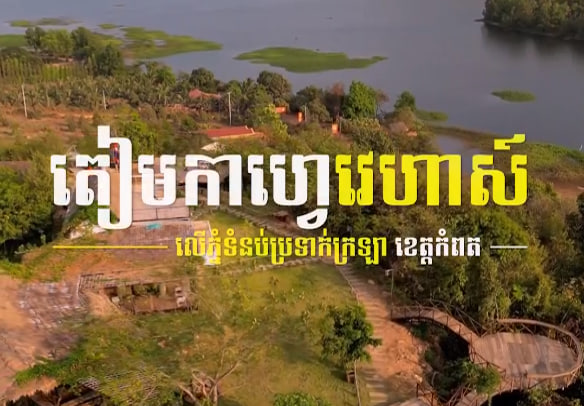 តៀមកាហ្វេវេហាស៏ទំនប់ប្រទាក់ក្រឡា ស្រុកទឹកឈូ ខេត្តកំពត កម្ពុជាមាតុភូមិខ្ញុំ
