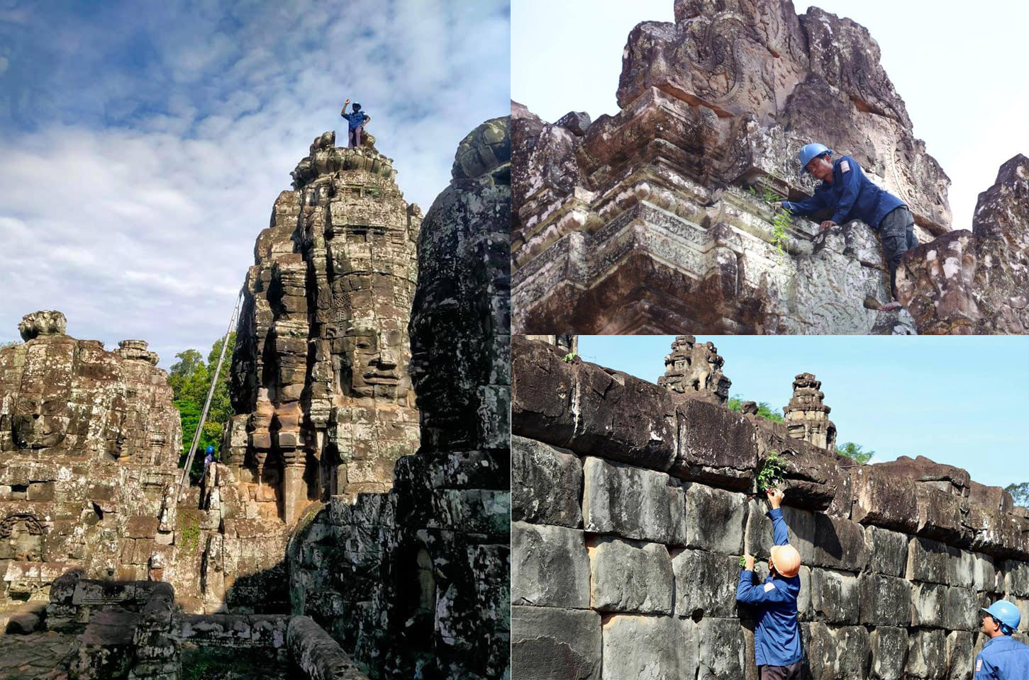 អាជ្ញាធរជាតិអប្សរា សម្រុកសម្អាតរុក្ខជាតិតាមប្រាសាទក្នុងតំបន់អង្គរ