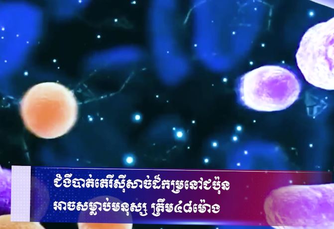 ជំងឺបាត់តេរីស៊ីសាច់ដ៏កម្រនៅជប៉ុន អាចសម្លាប់មនុស្ស ត្រឹម៤៨ម៉ោង