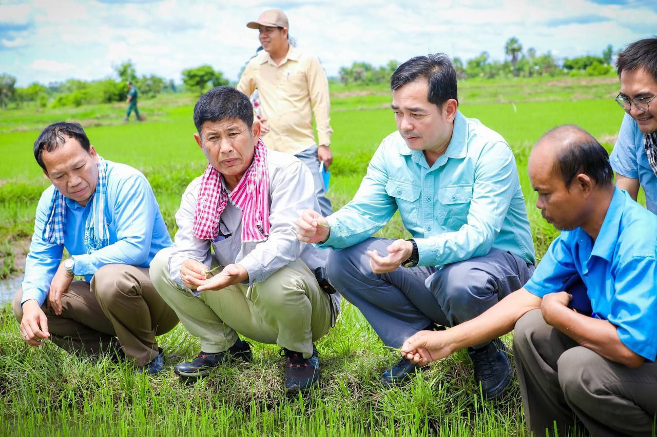 អភិបាលខេត្តកំពង់ចាមចុះពិនិត្យករណីសត្វដង្កូវហ្វូងបំផ្លាញស្រូវនៅស្រុកចំការលើ