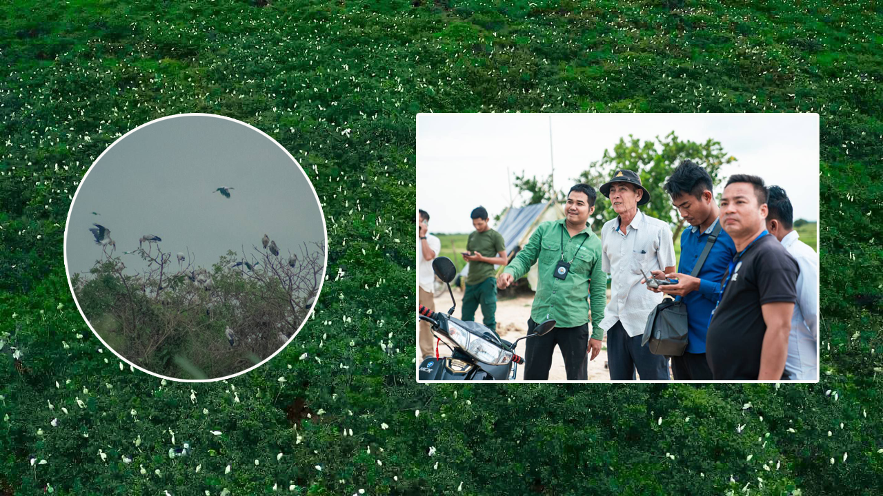 សត្វស្លាបជាច្រើនប្រភេទ បាននាំគ្នារស់នៅតំបន់អភិរក្សមួយកន្លែងបន្ថែមទៀត នៅស្រុកពារាំង បន្ទាប់ពីបឹងស្នេហ៍ទួលពាន់តាឡី នៅស្រុកបាភ្នំ