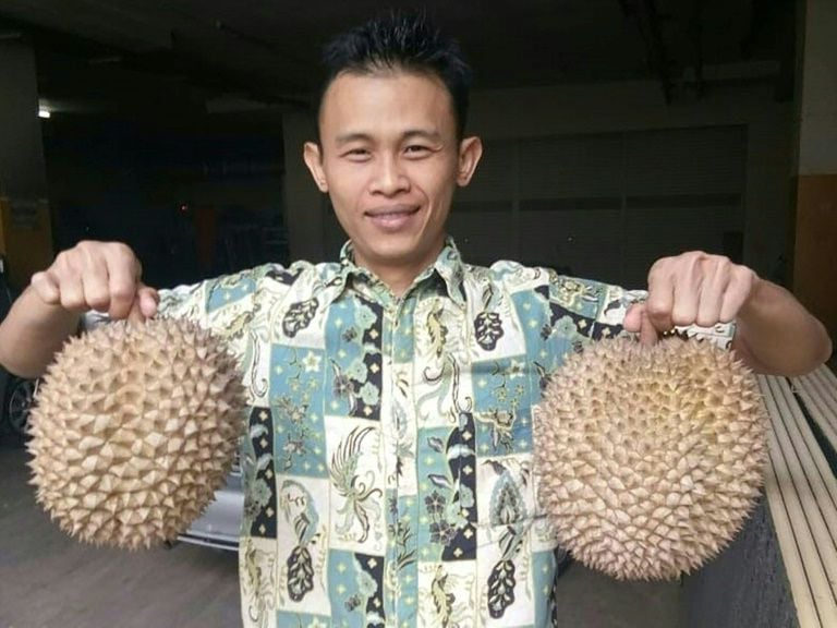 ឥណ្ឌូណេស៊ីគ្រោងលក់ទុរេនឲ្យចិន តម្លៃ ៨ពាន់ដុល្លារក្នុងមួយឆ្នាំ
