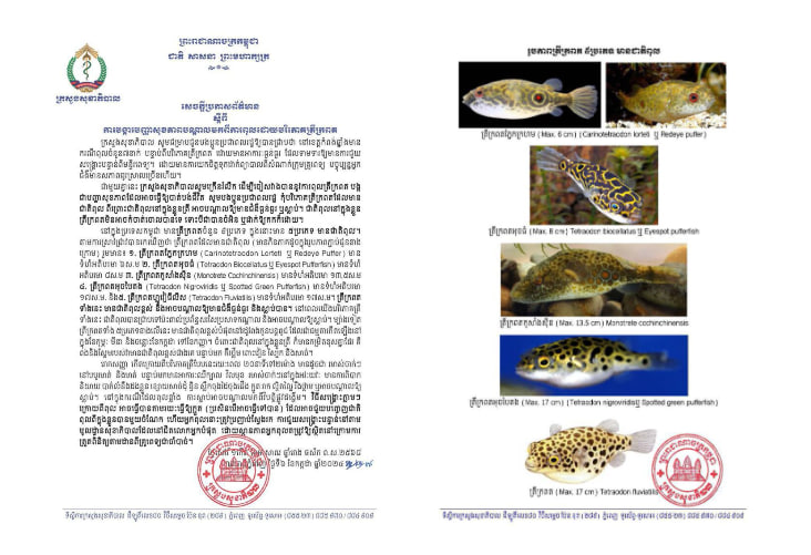 ក្រសួងសុខាភិបាល ឱ្យពលរដ្ឋប្រុងប្រយ័ត្ន ពីការពុល ដោយសារការបរិភោគត្រីក្រពត