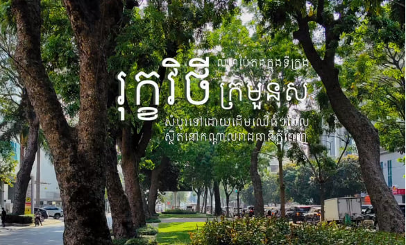រុក្ខវិថីក្រមួនស រាជធានីភ្នំពេញ