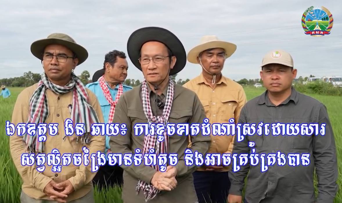 ដង្កូវហ្វូងបំផ្លាញស្រូវកសិករ ១៨ខេត្តជាង២ម៉ឺនហិកតា និងរុយស ចំនួន ៥ខេត្ត បង្កផលប៉ះពាល់ស្រូវកសិករ ប្រមាណ ៥ម៉ឺនហិកតា