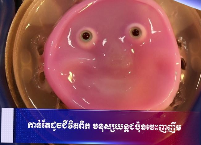 កាន់តែដូចជីវិតពិត មនុស្សយន្តជប៉ុនចេះញញឹម