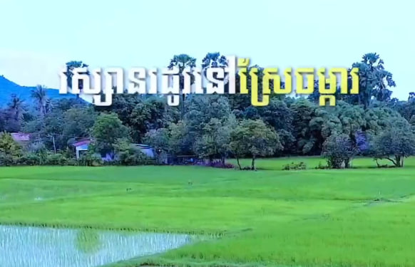 ការបង្កបង្កើនផលអ្នកស្រុកបរិបូរណ៍ ខេត្តកំពង់ឆ្នាំង