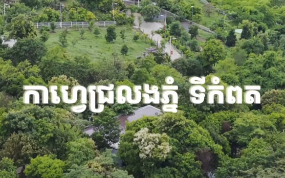 កាហ្វេជ្រលងភ្នំ ខេត្តកំពត