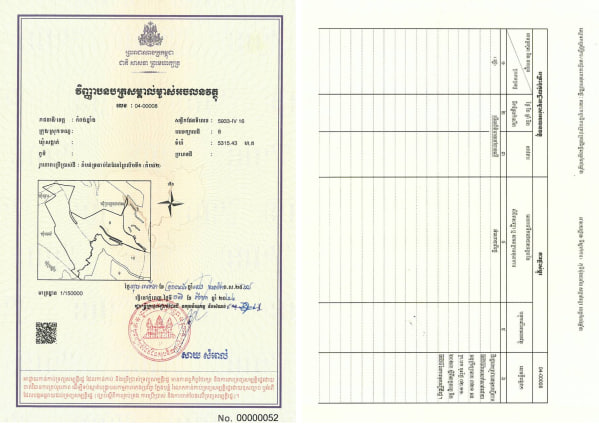 តំបន់ទ្រនាប់នៃដែនព្រៃលិចទឹក តំបន់២ (ទីតាំងទី៨)