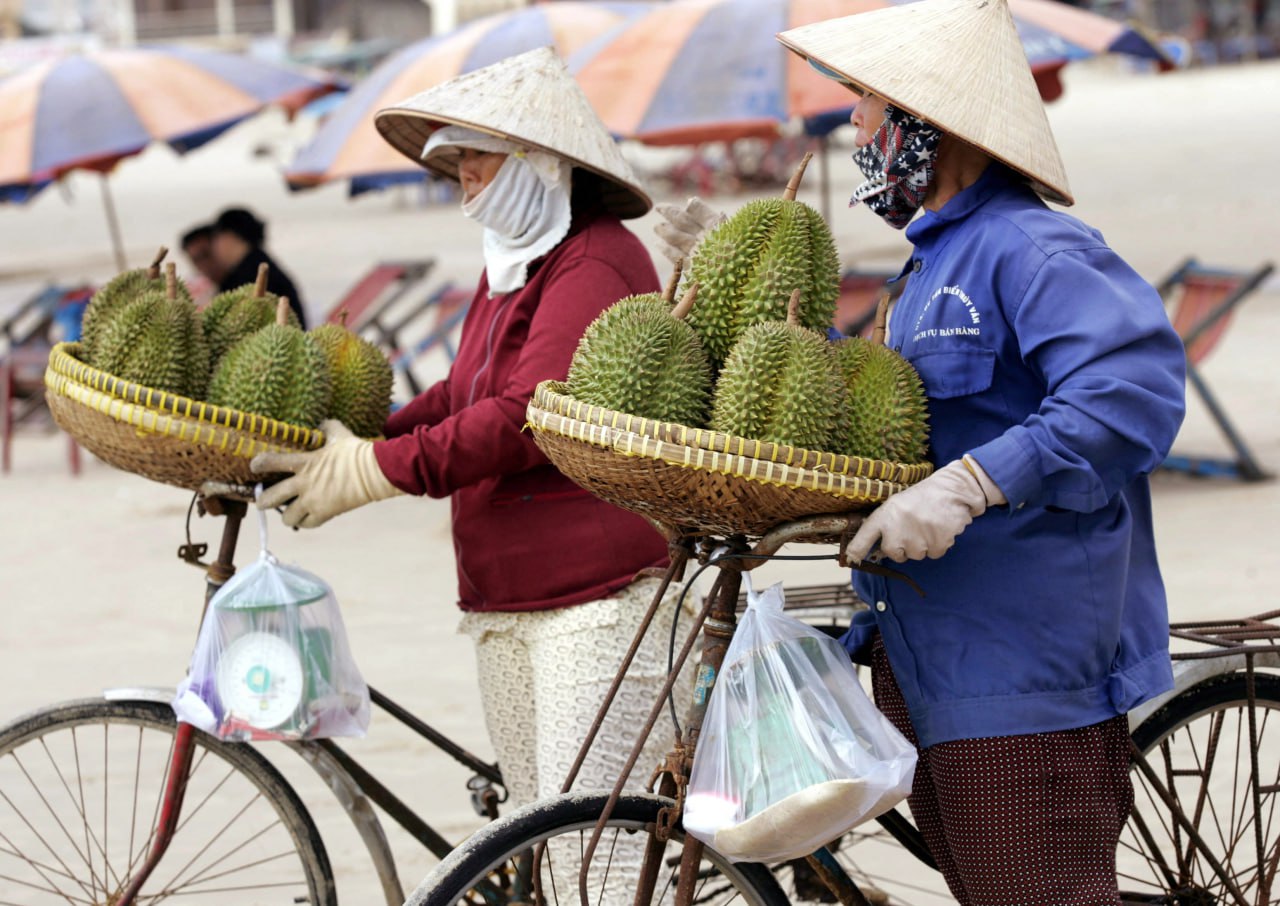 ៧ខែ! ទុរេនវៀតណាមនាំចេញ ១.៧ពាន់លានដុល្លារ