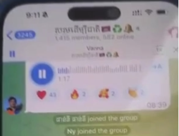 ឈ្មោះ ហៃ វណ្ណា (មេដឹកនាំបាតុកម្មនៅប្រទេសជប៉ុន)