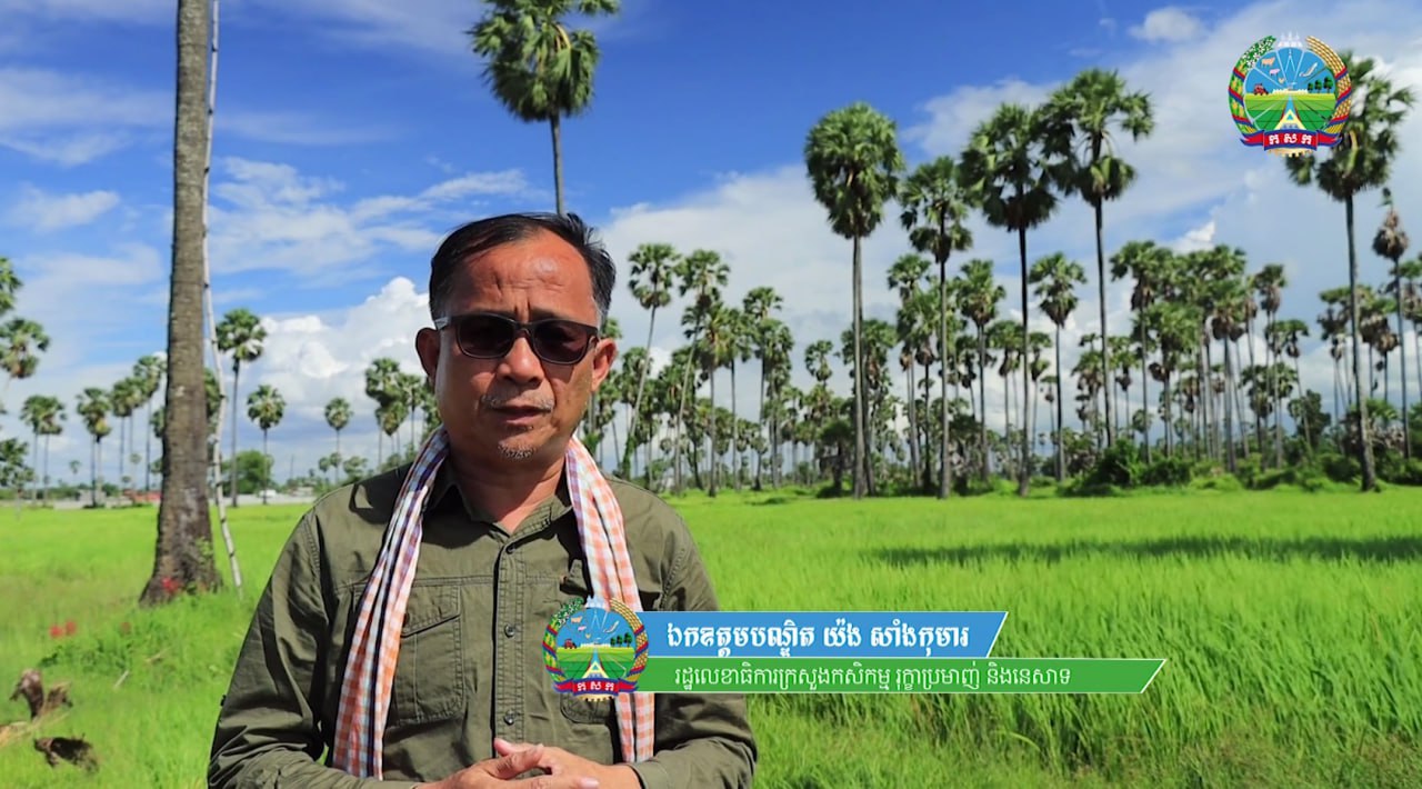 ស្រូវផ្ការំដួល និងសែនក្រអូបមានទីផ្សារខ្ពស់នៅក្រៅស្រុក ខណៈក្រសួងកសិកម្ម​អំពាវនាវឱ្យកសិករដាំដុះឱ្យបានច្រើន