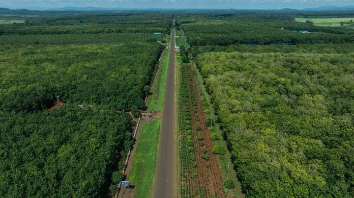 សក្តានុពលកសិឧស្សាហកម្ម ក្នុងស្រុកអូរយ៉ាដាវ ខេត្តរតនគិរី