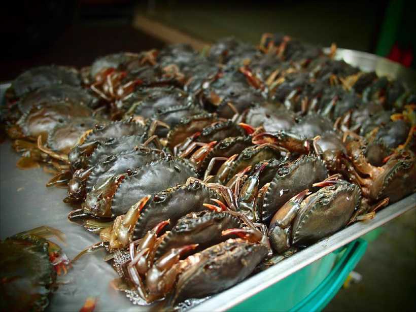 ៩ខែ! វៀតណាមកើបលុយពីក្តាម ២២៧លានដុល្លារ
