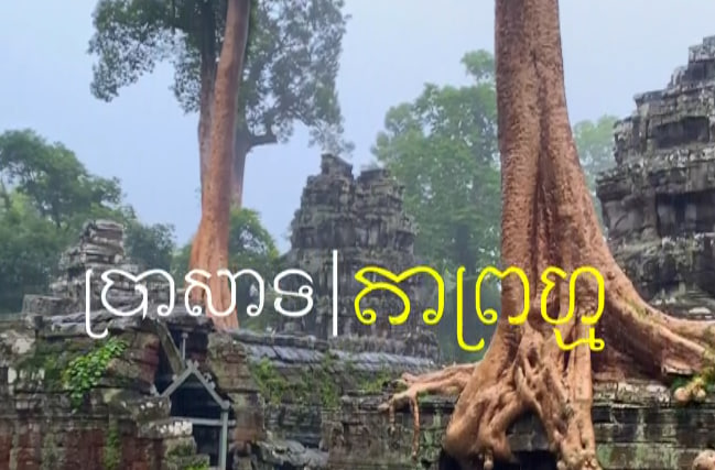 ប្រាសាទតាព្រហ្ម ក្រុងអង្គរ ខេត្តសៀមរាប