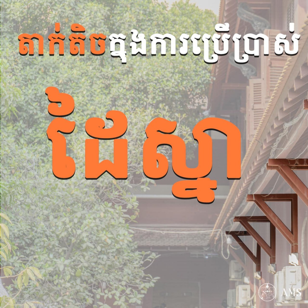 ដៃស្នា មានតួនាទីលើសពីគ្រឿងបង្គុំសំណង់ផ្ទះដែលគេប្រើវាសម្រាប់ទ្រដំបូលផង និង ជាសោភ័ណ្ឌភាពផង