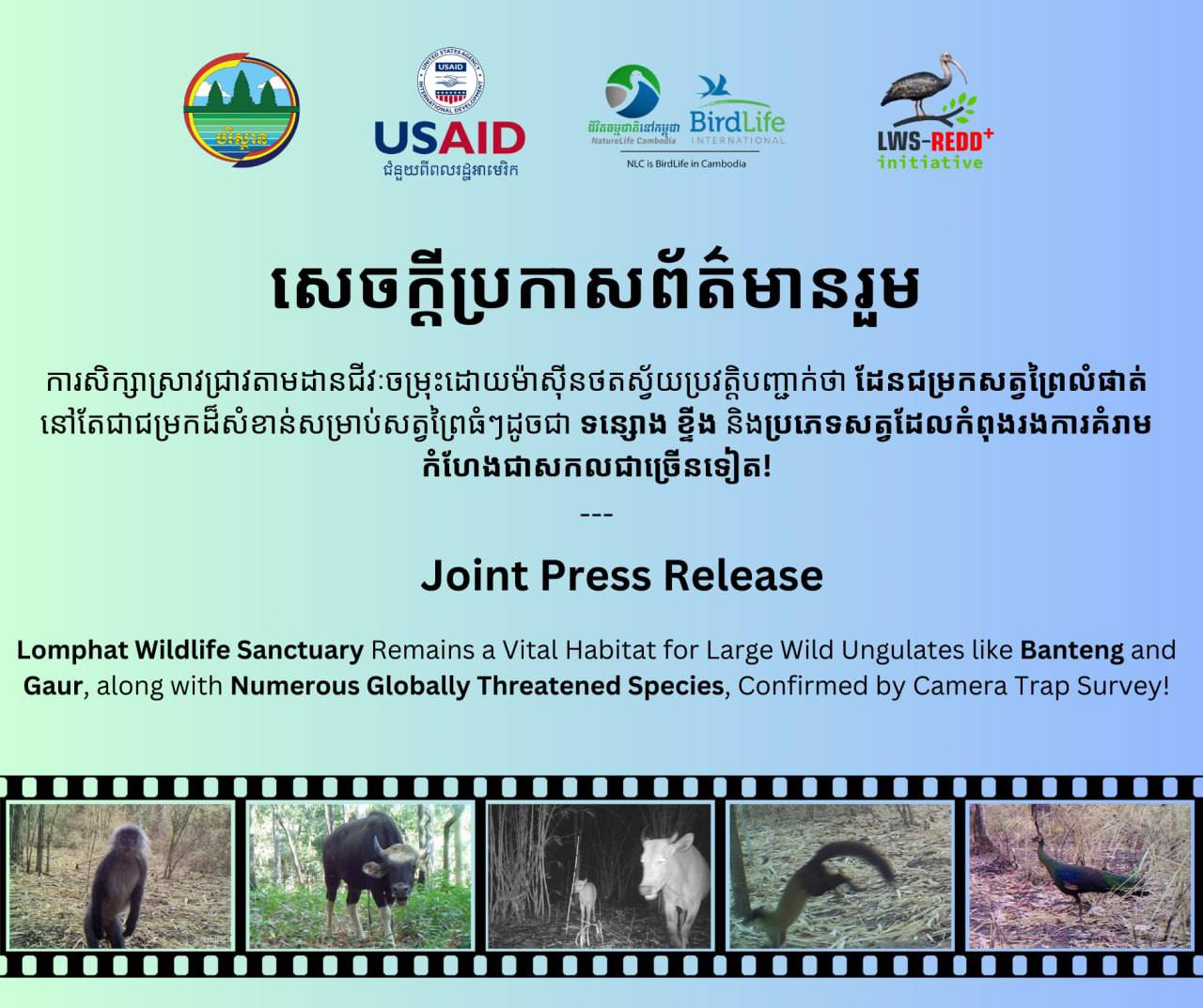 ម៉ាស៊ីនថតស្វ័យប្រវត្តិ ថតឃើញសត្វព្រៃកម្រចំនួន ២៨ប្រភេទនៅ ដែនជម្រកសត្វព្រៃលំផាត់