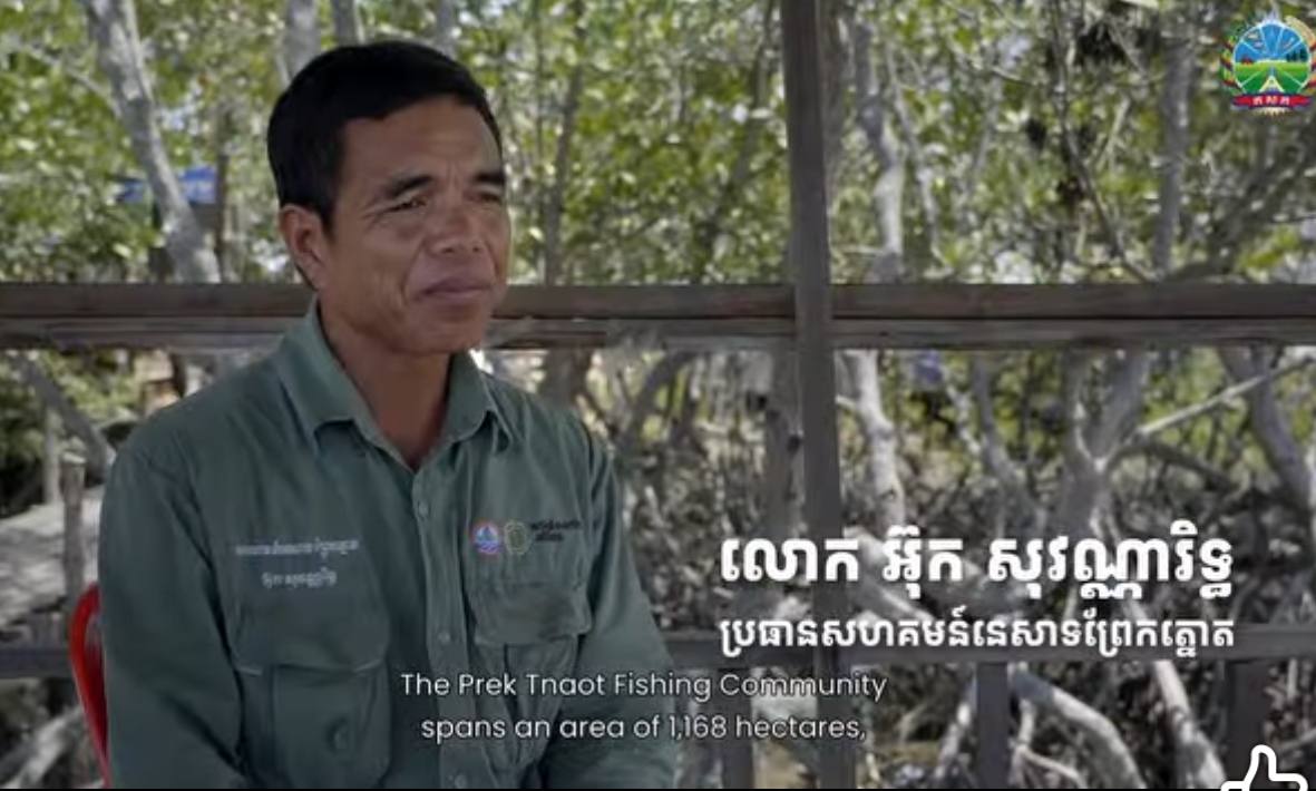 សត្វផ្សោតពណ៌ផ្កាឈូក នៅសហគមន៍នេសាទព្រែកត្នោត បានកើនឡើង​ដល់ ៧០ក្បាល