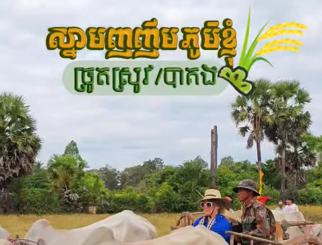 ភ្ញៀវបរទេសច្រើនជាង ១០០នាក់ ចូលរួមច្រូតស្រូវ ដេីម្បីរក្សាវប្បធម៌ប្រពៃណីខ្មែរ 🌾🌾