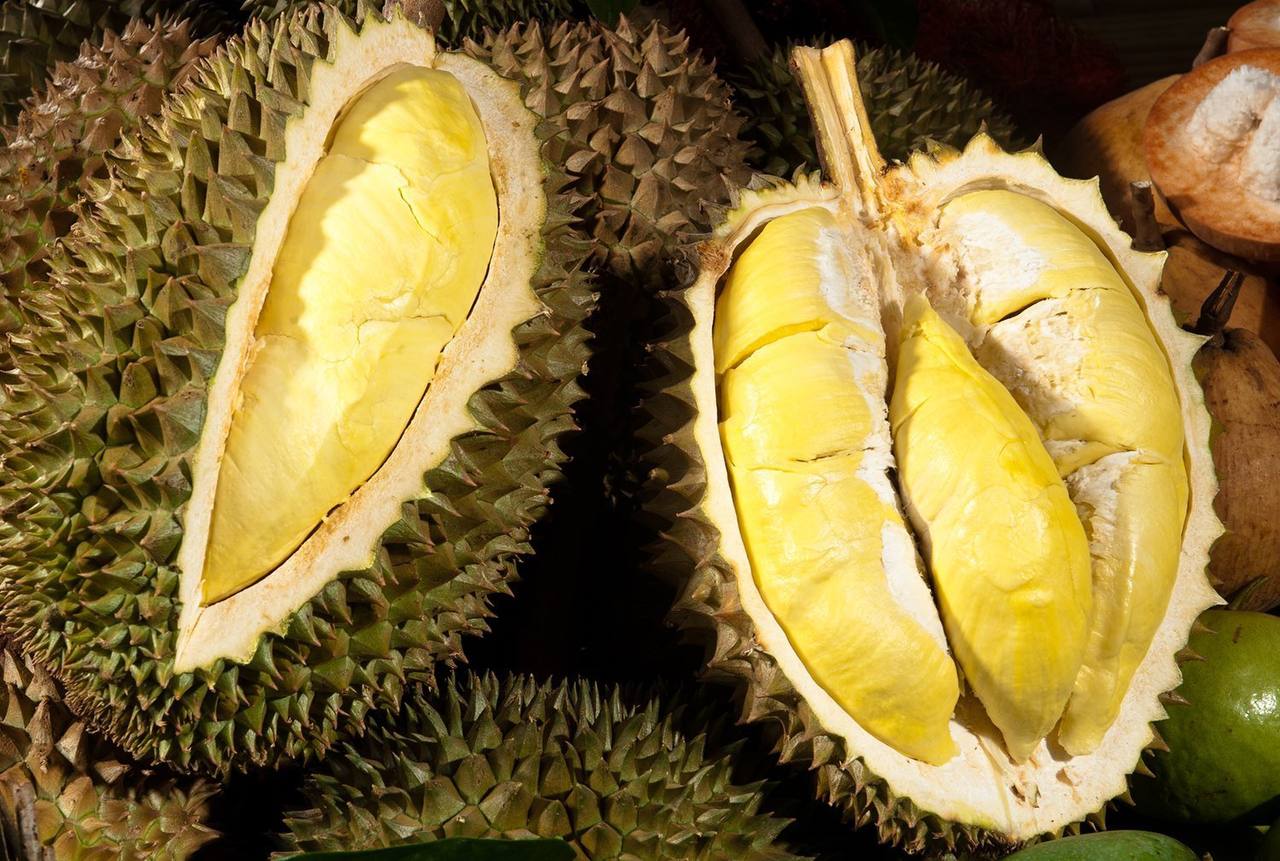 វៀតណាមបានចំណូល៣ពាន់លានដុល្លារពីការនាំចេញទុរេន ក្នុងរយៈពេល១១ខែ