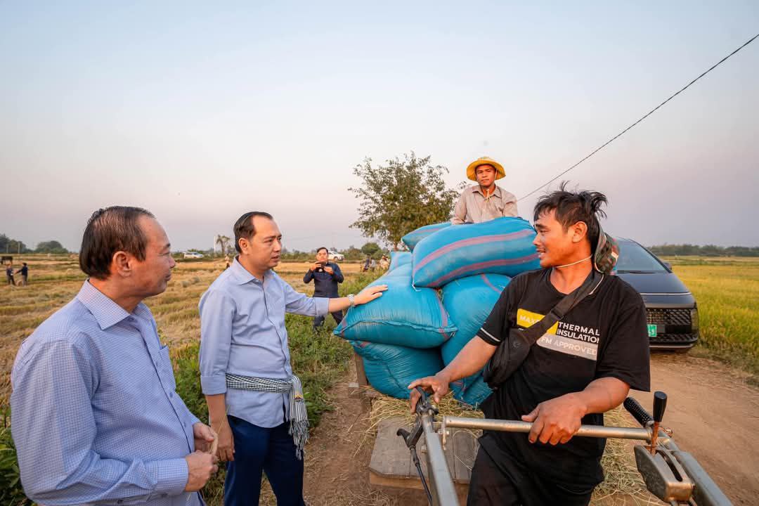 កសិករឃុំបុសលាវ កំពុងរីករាយក្នុងការប្រមូលផលស្រូវ ដែលទទួលគ្រាប់ពូជពីរាជរដ្ឋាភិបាល