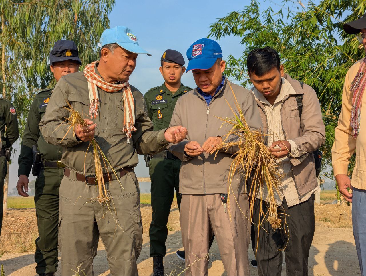 ស្រូវប្រាំងជាងមួយម៉ឺនហិកតានៅខេត្តបន្ទាយមានជ័យត្រូវបានជួយសង្គ្រោះ