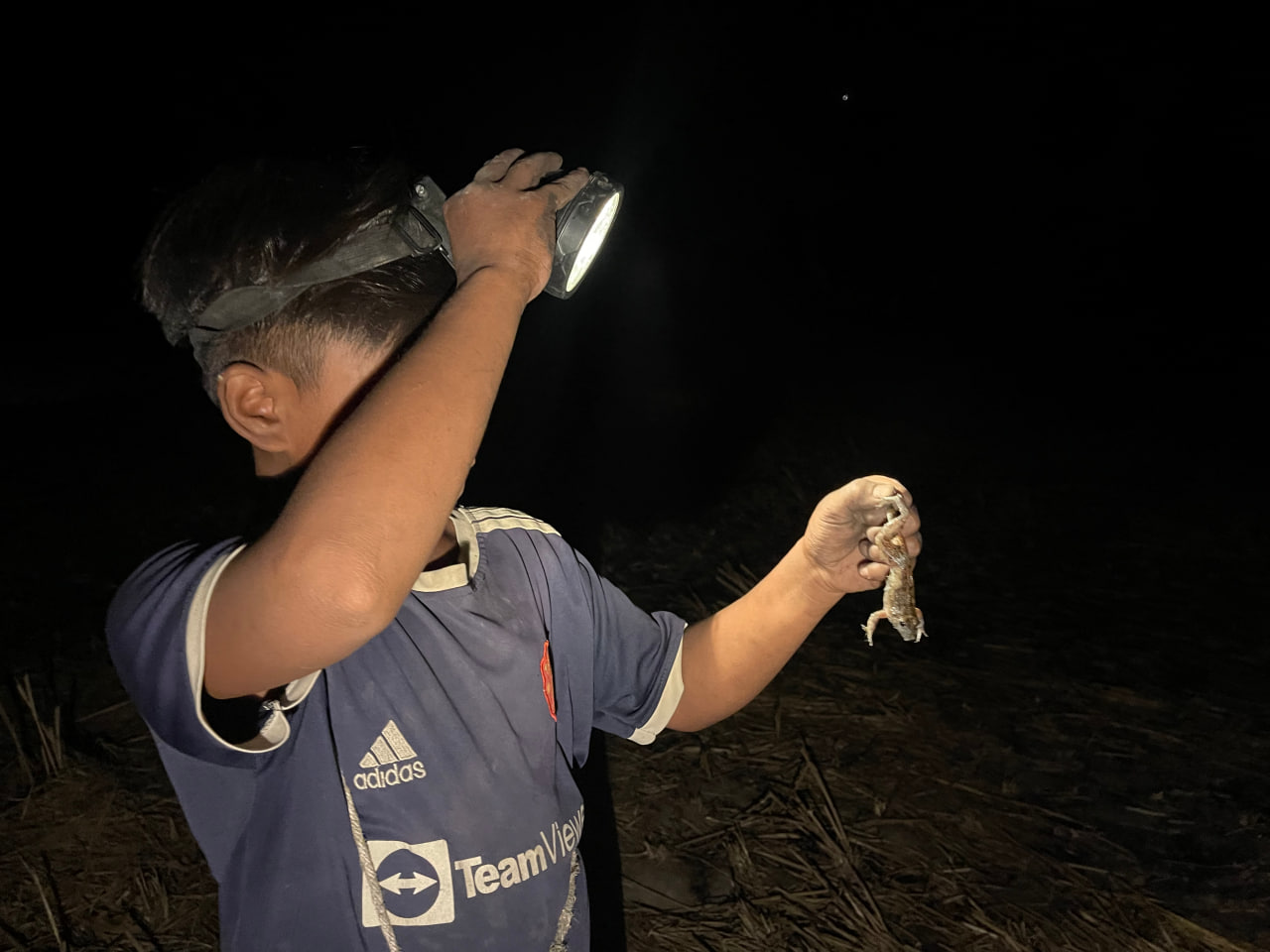 ពលរដ្ឋចាស់ក្មេង នាំគ្នា ចាប់កង្កែបអាចម៍គោដើម្បីទុកបរិភោគក្នុងគ្រួសារ និងខ្លះទុកសម្រាប់លក់