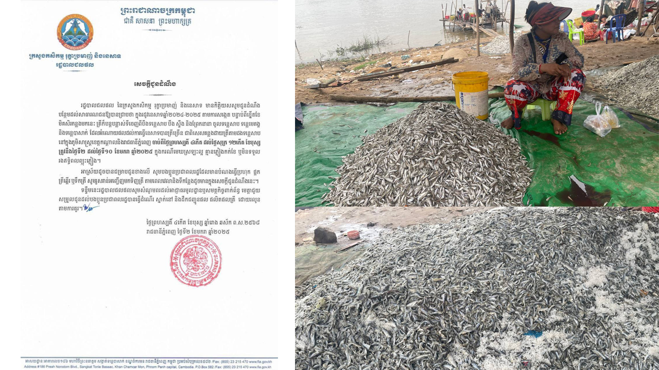 ត្រី ប្រហុក នឹងចាប់ផ្តើមត្រូវម្តងទៀតចាប់ពីថ្ងៃទី២-១០ ខែមករា ឆ្នាំ ២០២៥