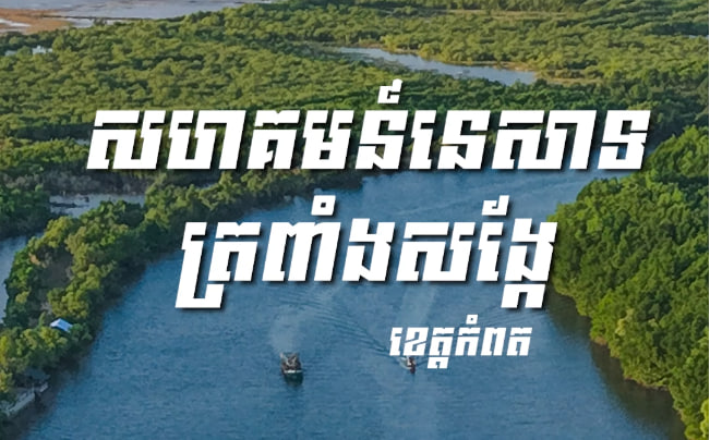សហគមន៍នេសាទត្រពាំងសង្កែឃុំត្រពាំងសង្កែ ស្រុកទឹកឈូ ខេត្តកំពត