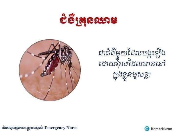 ក្រសួងសុខាភិបាលសូមក្រើនរំលឹកដល់បងប្អូនប្រជាពលរដ្ឋទាំងអស់ សូមប្រុងប្រយ័ត្ន និងការបង្ការការចម្លងជំងឺគ្រុនឈាម នាដើមឆ្នាំ២០២៥