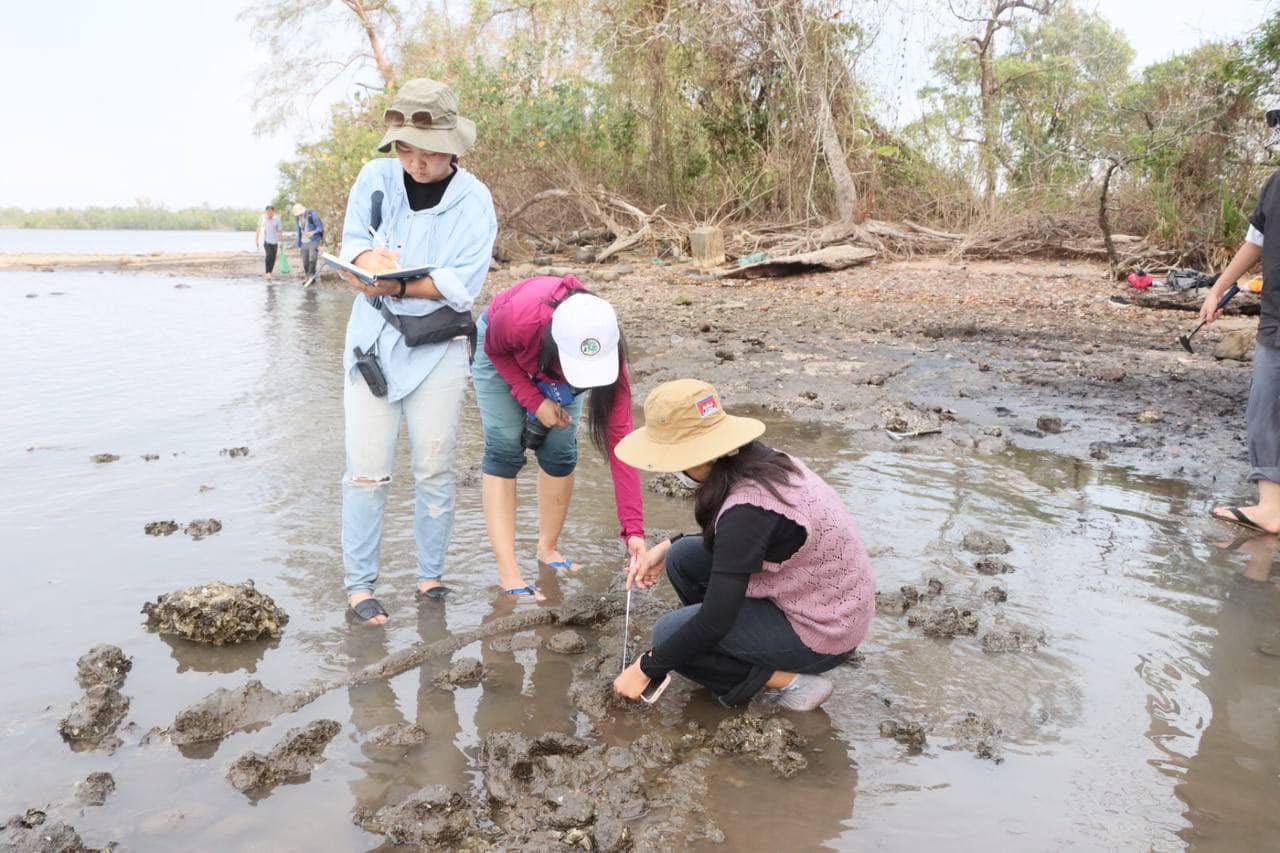 រកឃើញបំណែកផូស៊ីលសត្វឆ្អឹងកងខ្នង ផូស៊ីលឈើ និងសិលាជាច្រើននៅលើកោះមូល ខេត្តកោះកុង