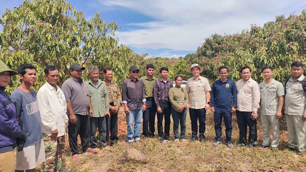 មន្រ្តីក្រសួងកសិកម្ម ណែនាំកសិករ ដាំចម្ការផ្លែមាន តាង៉ែន ត្រូវដាំ​តាមបច្ចេកទេស ដើម្បីឈោងចាប់ទីផ្សារ