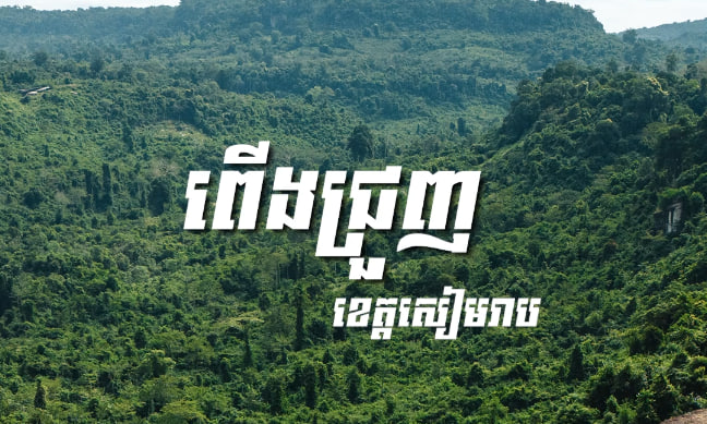 ពើងជ្រួញ ភ្នំគូលែន ខេត្តសៀមរាប