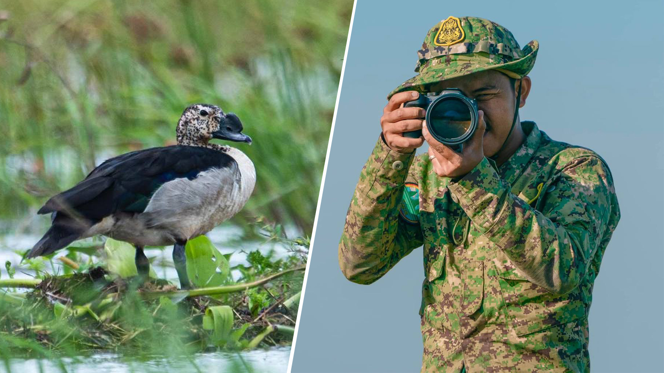 សត្វទាព្រៃចំនួន ៦ប្រភេទ កំពុងរស់នៅយ៉ាងសុខសាន្ត នៅក្នុងតំបន់ការពារទេសភាពបឹងព្រែកល្ពៅ