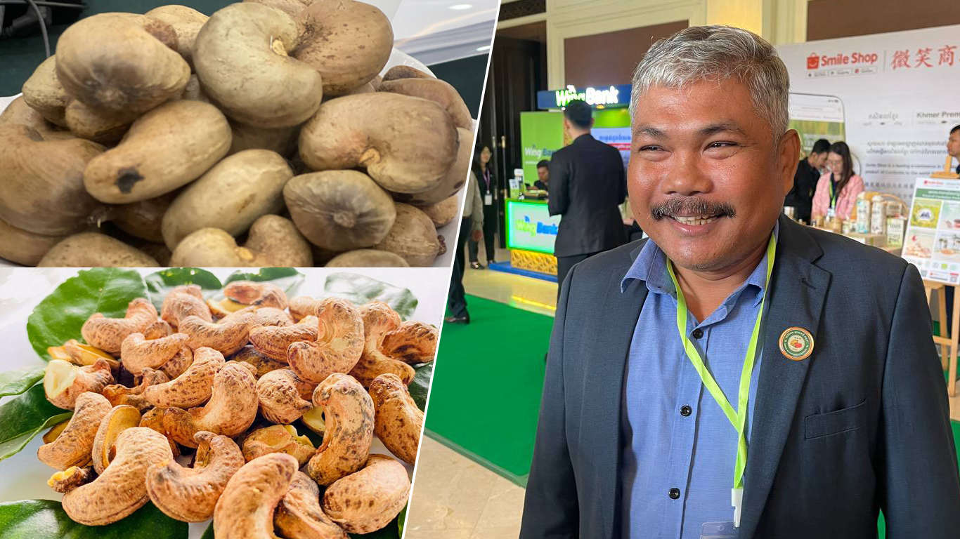 ដំណាំស្វាយចន្ទីនៅកម្ពុជា នាឆ្នាំនេះ នឹងមានការកើនឡើង ខណៈទីផ្សារគេរំពឹងថា នឹងនៅតែរក្សាស្ថេរភាពល្អ