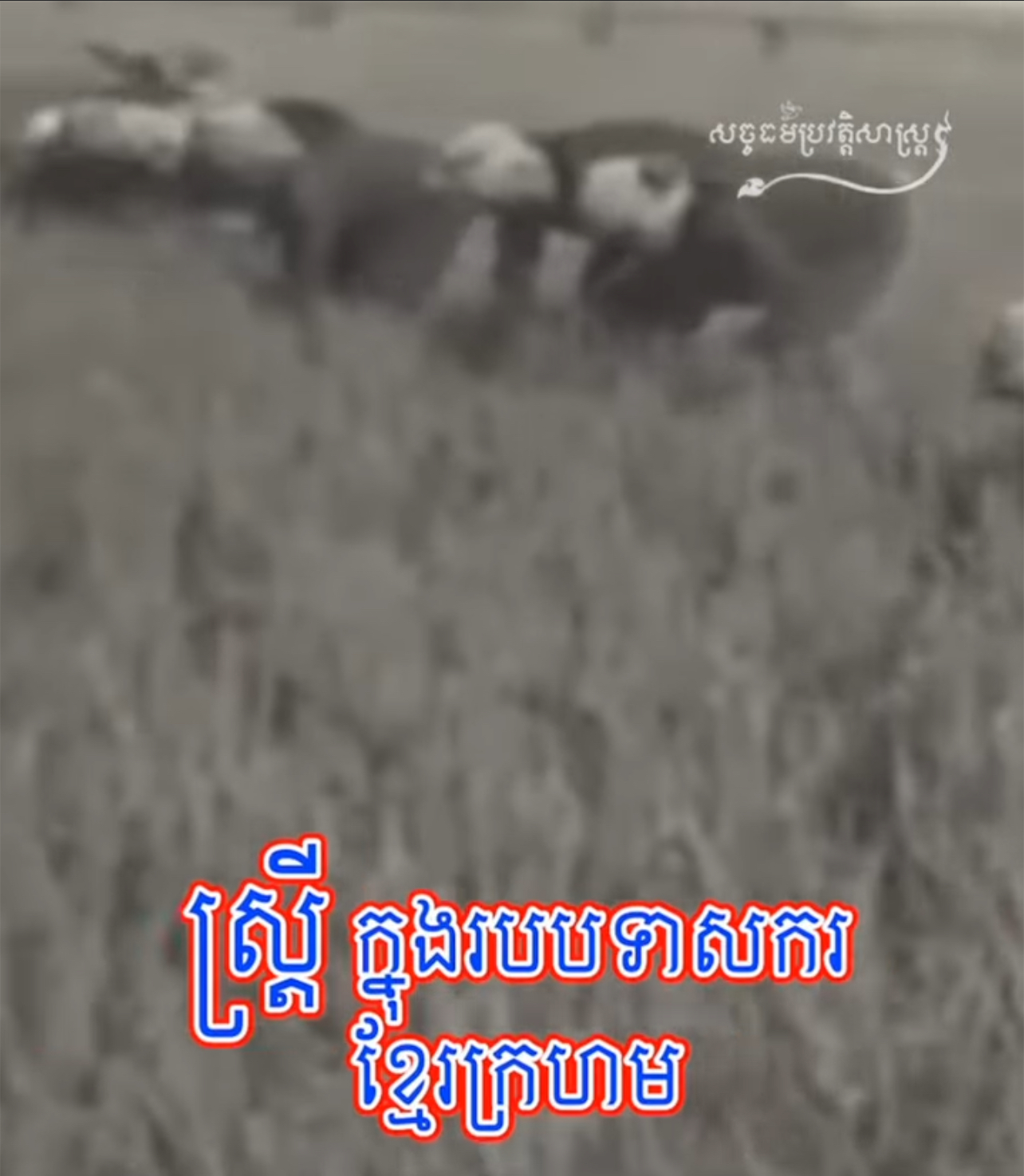 វីដេអូ៖ ស្រ្តីក្នុងរបបទាសករខ្មែរក្រហម