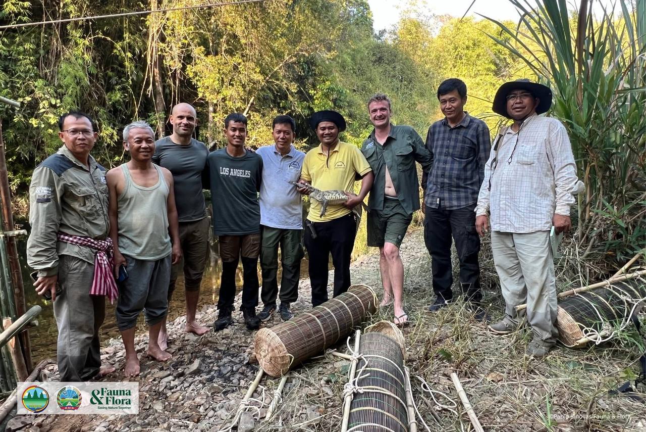 ក្រសួងបរិស្ថាន និងដៃគូស្តារវត្តមានក្រពើភ្នំឡើងវិញ នៅតំបន់​ឧទ្យានជាតិវីរៈជ័យ