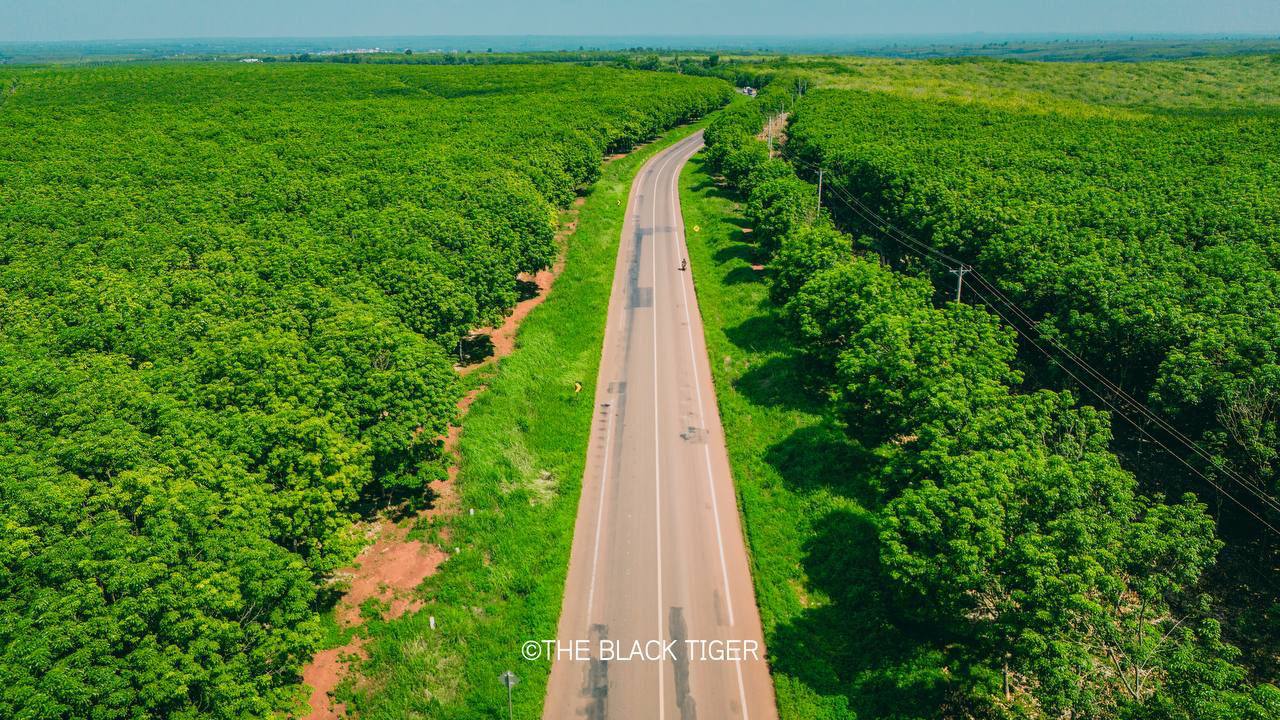 ចំការកៅស៊ូ ស្រុកមេមត់ ខេត្តត្បូងឃ្មុំ