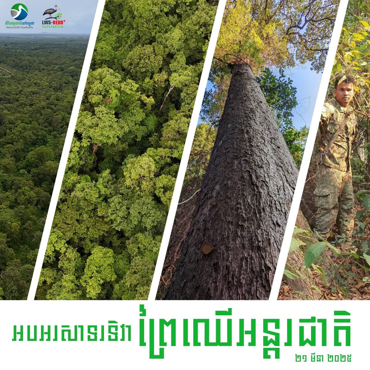 គម្រោងរេដបូកលំផាត់គ្របដណ្ដប់លើផ្ទៃដីជាង ១សែន ហិកតា និងអាចកាត់បន្ថយការបំភាយនៃឧស្ម័នផ្ទះកញ្ចក់ជាង២៥០០០០ តោនរៀងរាល់ឆ្នាំ