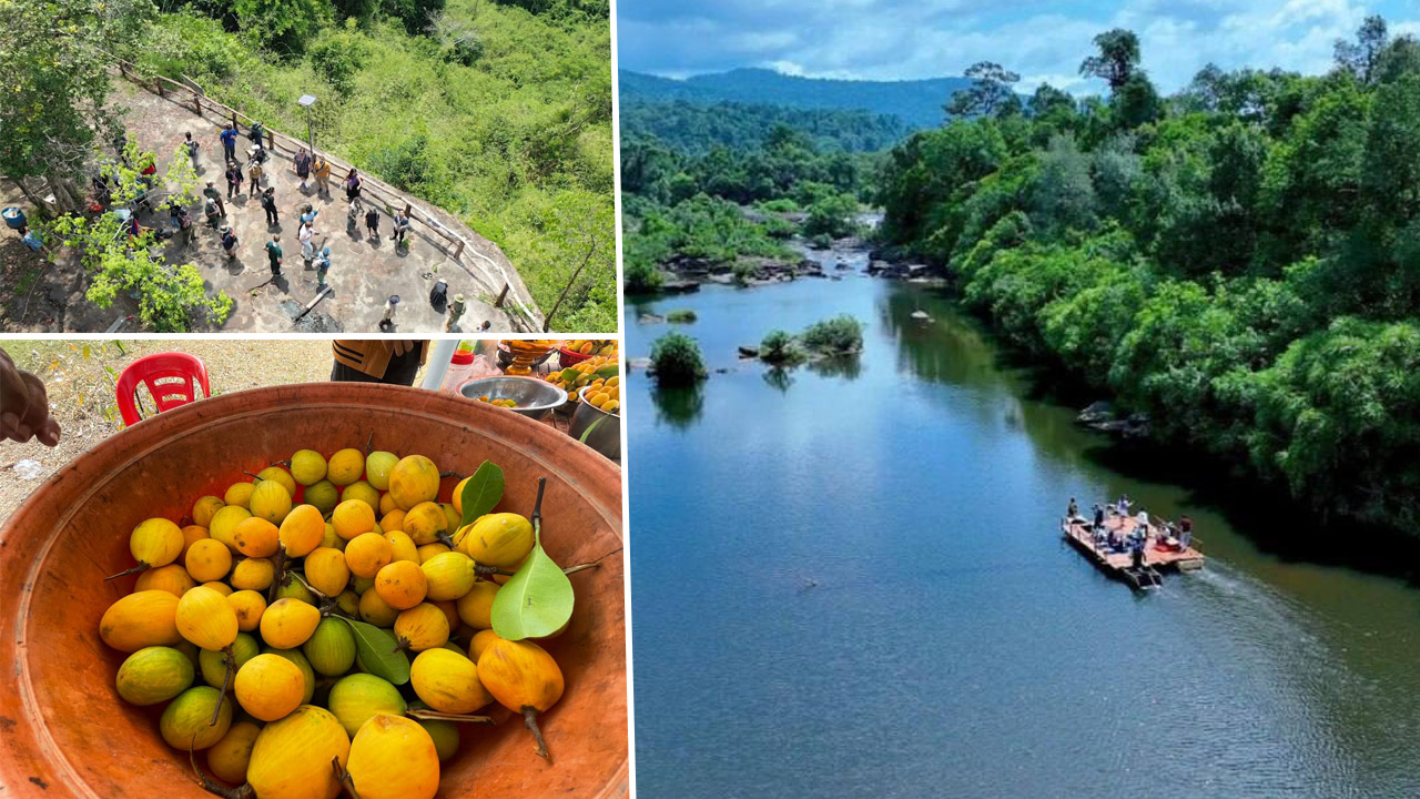 ពលរដ្ឋនៅសហគមន៍អេកូទេសចរណ៍ស្ទឹងអារ៉ែង ចាប់ពីខែមិនា ដល់ ខែឧសភា តែងរកអនុផលព្រៃឈើ ដោយបេះផ្លែគុយ ផ្លែសំរង និងក៏ជារដូវលក់ផ្លែទុរេន ផ្លែសាវម៉ៅ